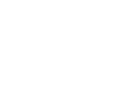 The Smart Pet
