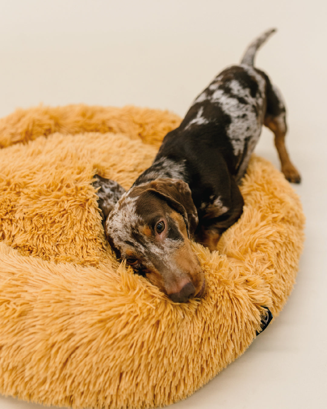 Cama Donut Antiestrés