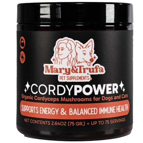 Mary&Trufa - Cordy Power - Cordyceps orgánico
