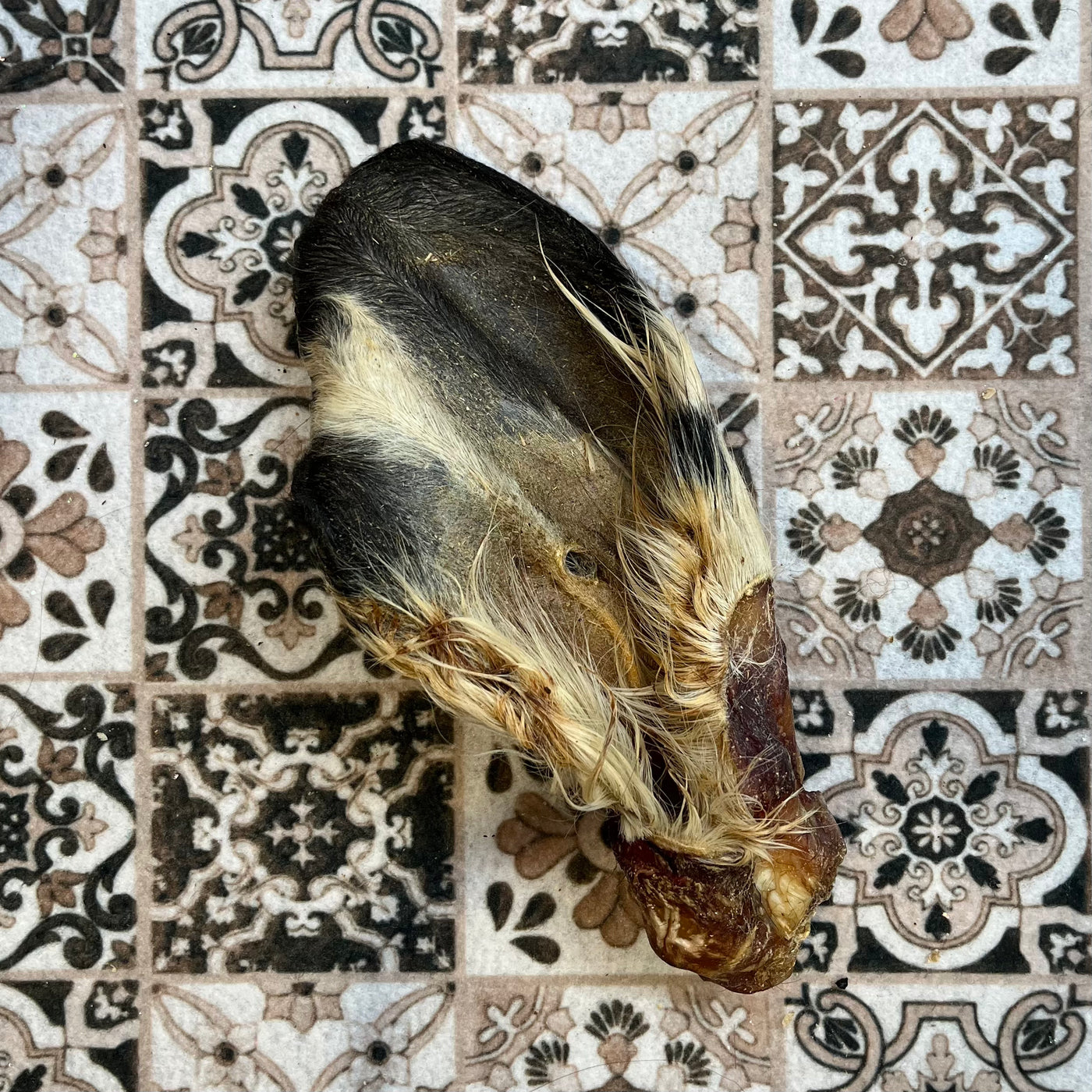 Oreja de vacuno con pelo